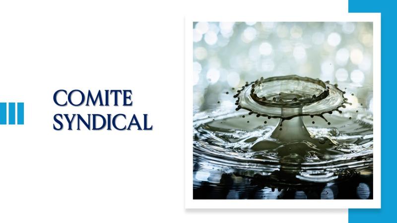 COMITE SYNDICAL