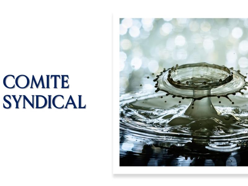 COMITE SYNDICAL